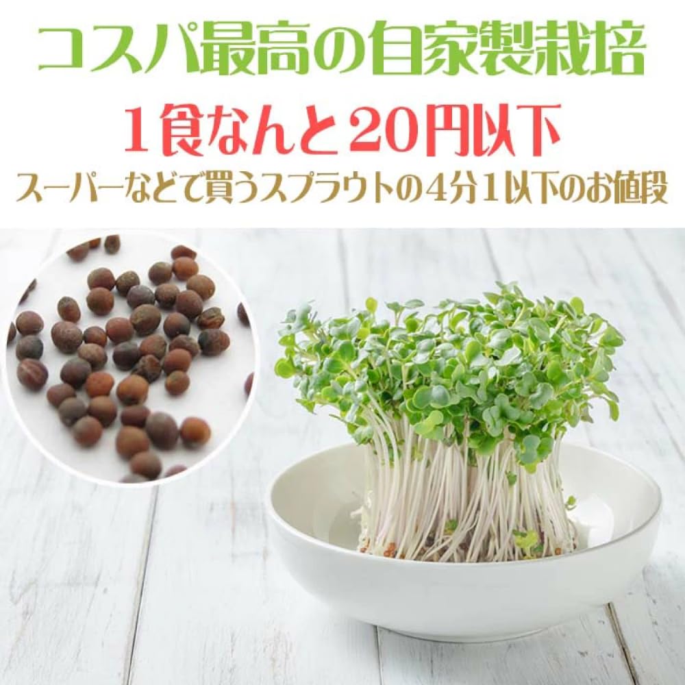 Amazon.co.jp: ブロッコリースプラウト 種 500ml（種子のみ・簡単栽培
